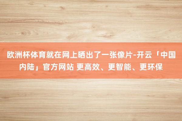 欧洲杯体育就在网上晒出了一张像片-开云「中国内陆」官方网站 更高效、更智能、更环保