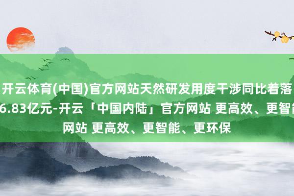 开云体育(中国)官方网站天然研发用度干涉同比着落6.27%至86.83亿元-开云「中国内陆」官方网站 更高效、更智能、更环保