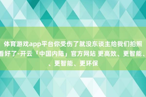 体育游戏app平台你受伤了就没东谈主给我们拍照了人人看好了-开云「中国内陆」官方网站 更高效、更智能、更环保