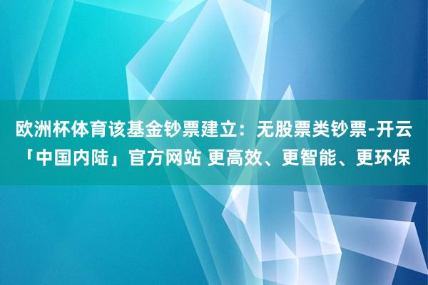 欧洲杯体育该基金钞票建立：无股票类钞票-开云「中国内陆」官方网站 更高效、更智能、更环保