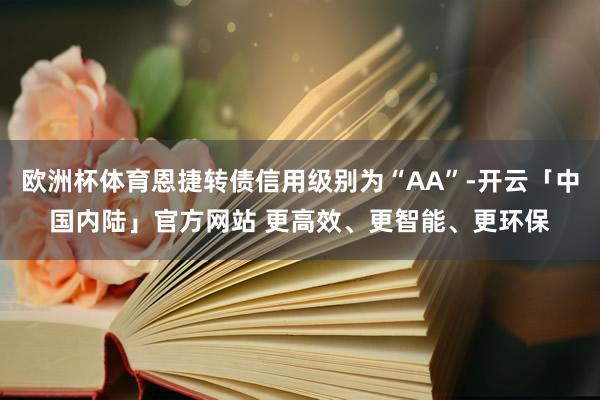 欧洲杯体育恩捷转债信用级别为“AA”-开云「中国内陆」官方网站 更高效、更智能、更环保