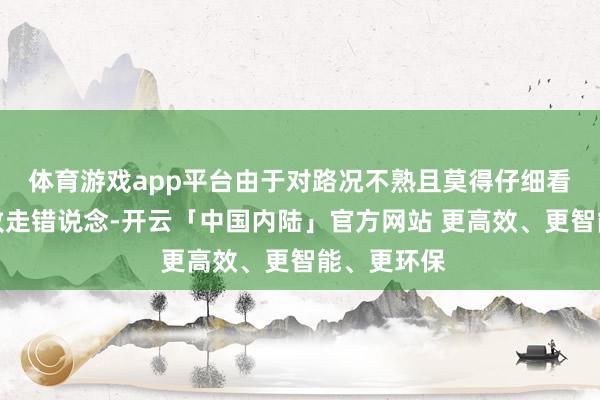 体育游戏app平台由于对路况不熟且莫得仔细看领导牌导致走错说念-开云「中国内陆」官方网站 更高效、更智能、更环保