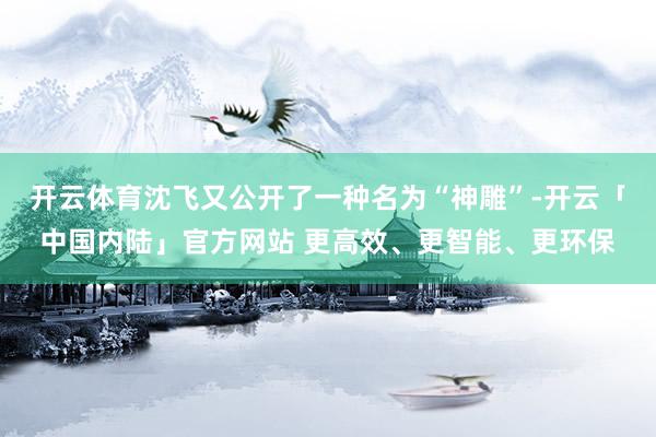 开云体育沈飞又公开了一种名为“神雕”-开云「中国内陆」官方网站 更高效、更智能、更环保
