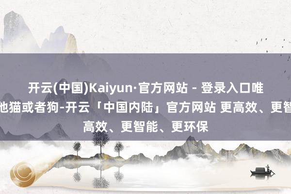 开云(中国)Kaiyun·官方网站 - 登录入口唯有家里有其他猫或者狗-开云「中国内陆」官方网站 更高效、更智能、更环保