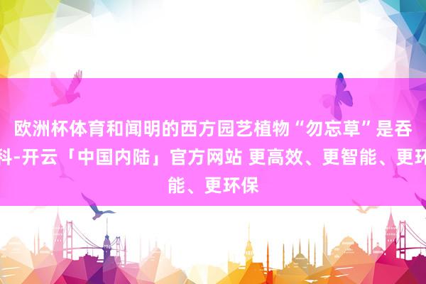 欧洲杯体育和闻明的西方园艺植物“勿忘草”是吞并科-开云「中国内陆」官方网站 更高效、更智能、更环保