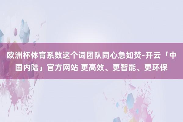 欧洲杯体育系数这个词团队同心急如焚-开云「中国内陆」官方网站 更高效、更智能、更环保