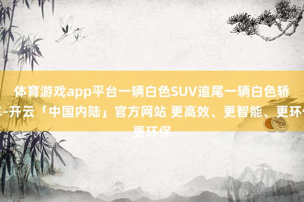 体育游戏app平台一辆白色SUV追尾一辆白色轿车-开云「中国内陆」官方网站 更高效、更智能、更环保