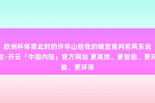 欧洲杯体育此时的许华山给我的嗅觉竟判若两东说念主-开云「中国内陆」官方网站 更高效、更智能、更环保