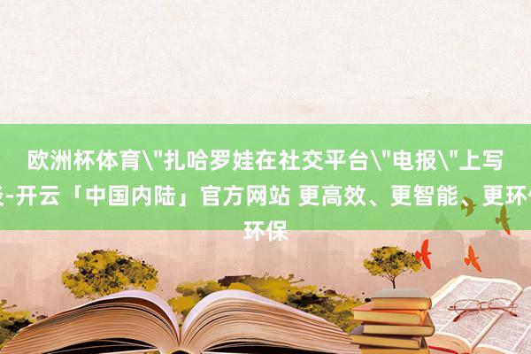 欧洲杯体育