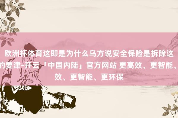 欧洲杯体育这即是为什么乌方说安全保险是拆除这一倡导的要津-开云「中国内陆」官方网站 更高效、更智能、更环保