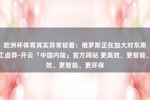 欧洲杯体育其实异常较着：俄罗斯正在加大对东南亚的军工卤莽-开云「中国内陆」官方网站 更高效、更智能、更环保