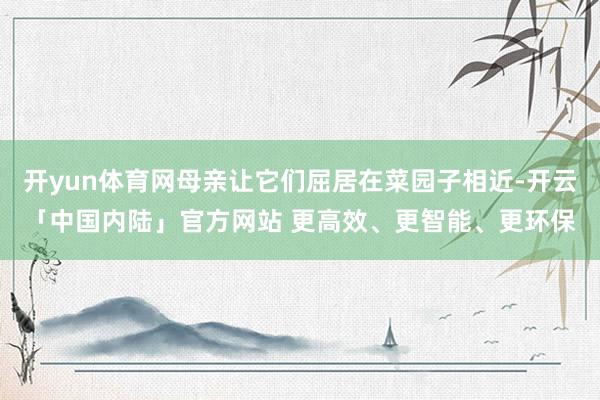 开yun体育网母亲让它们屈居在菜园子相近-开云「中国内陆」官方网站 更高效、更智能、更环保