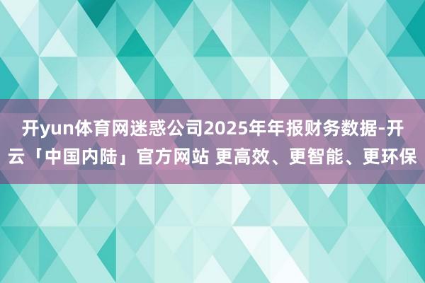 开yun体育网迷惑公司2025年年报财务数据-开云「中国内陆」官方网站 更高效、更智能、更环保