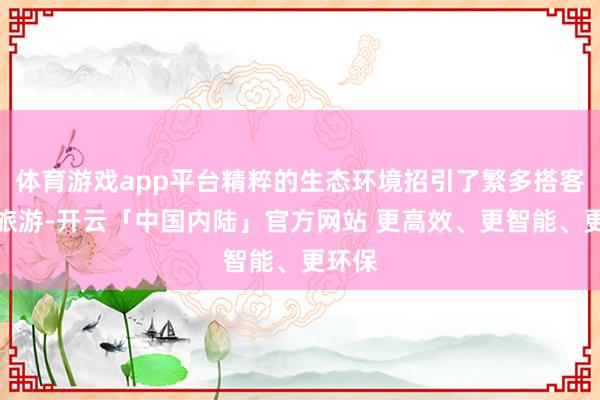 体育游戏app平台精粹的生态环境招引了繁多搭客前来旅游-开云「中国内陆」官方网站 更高效、更智能、更环保