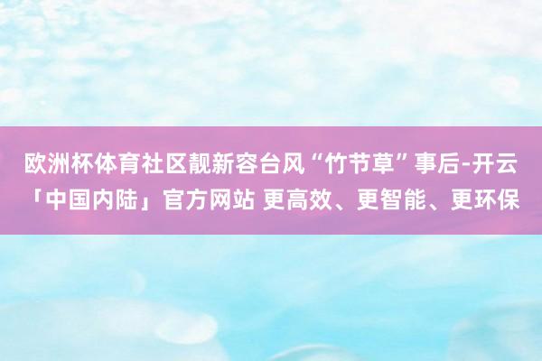 欧洲杯体育社区靓新容台风“竹节草”事后-开云「中国内陆」官方网站 更高效、更智能、更环保