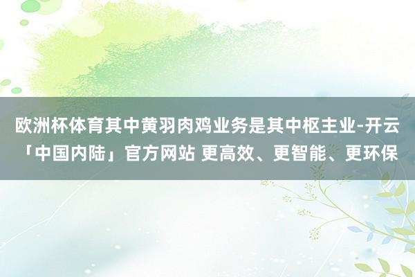 欧洲杯体育其中黄羽肉鸡业务是其中枢主业-开云「中国内陆」官方网站 更高效、更智能、更环保