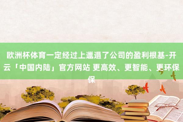 欧洲杯体育一定经过上邋遢了公司的盈利根基-开云「中国内陆」官方网站 更高效、更智能、更环保