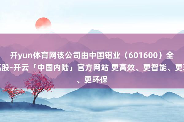 开yun体育网该公司由中国铝业(601600)全资抓股-开云「中国内陆」官方网站 更高效、更智能、更环保