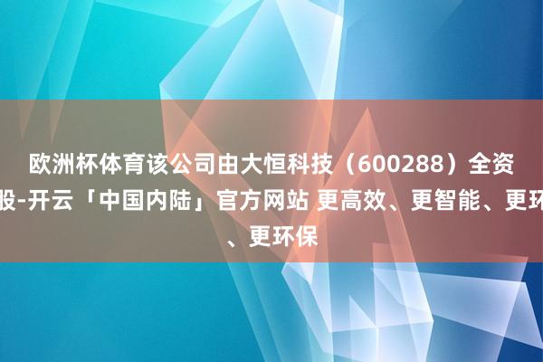 欧洲杯体育该公司由大恒科技（600288）全资握股-开云「中国内陆」官方网站 更高效、更智能、更环保