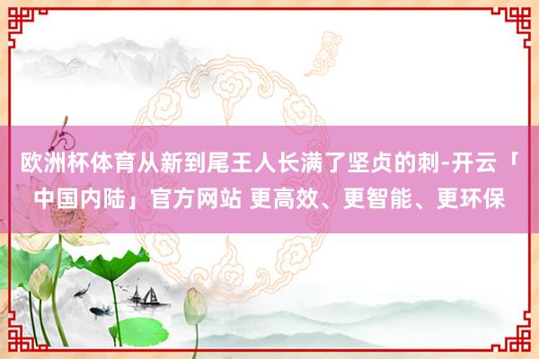 欧洲杯体育从新到尾王人长满了坚贞的刺-开云「中国内陆」官方网站 更高效、更智能、更环保