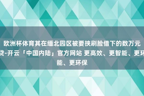 欧洲杯体育其在缅北园区被要挟刷脸借下的数万元网贷-开云「中国内陆」官方网站 更高效、更智能、更环保